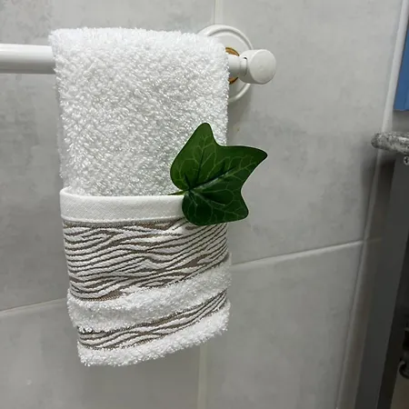 Camurichico * פיגואיירה דה פוז