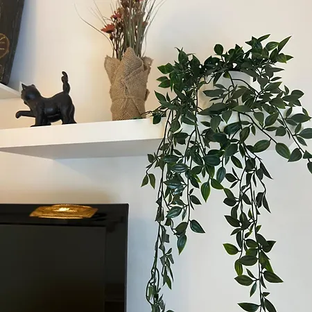 Camurichico Apartment