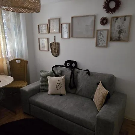 Camurichico פיגואיירה דה פוז