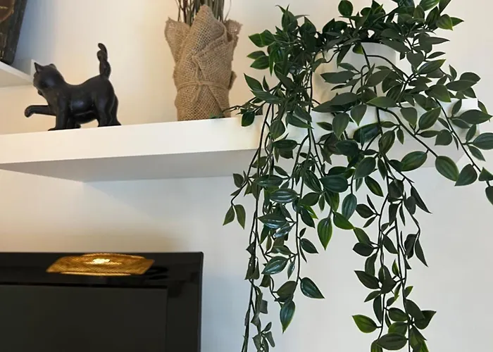 Camurichico Apartment